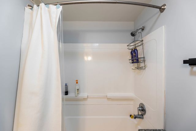 1060 N Hermitage Avenue 3, Chicago, IL 60622