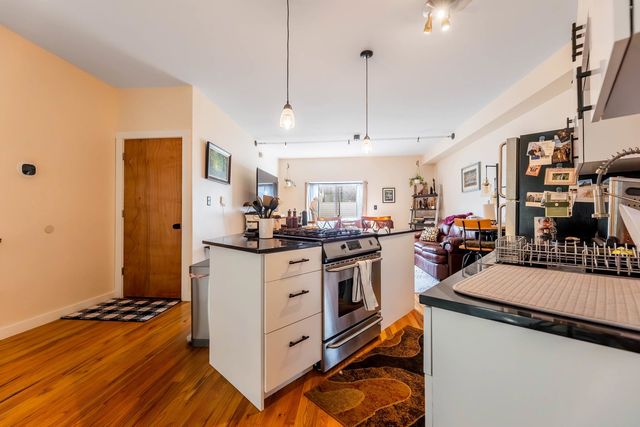 1060 N Hermitage Avenue 3, Chicago, IL 60622