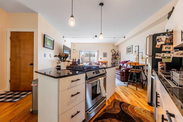 1060 N Hermitage Avenue 3, Chicago, IL 60622