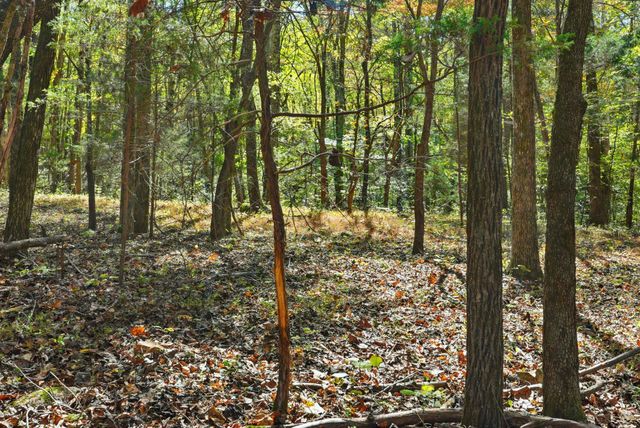 180 Tatum Rd, Pulaski, TN 38478