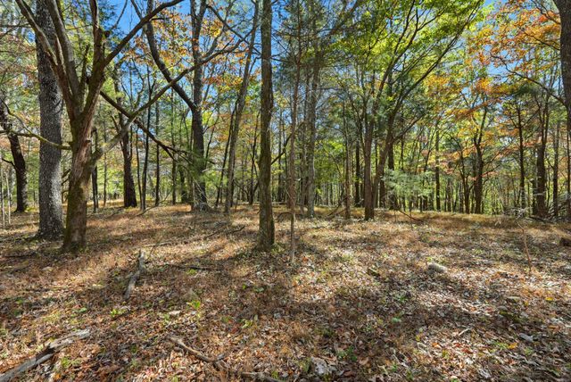 180 Tatum Rd, Pulaski, TN 38478