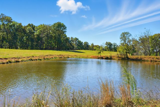 180 Tatum Rd, Pulaski, TN 38478