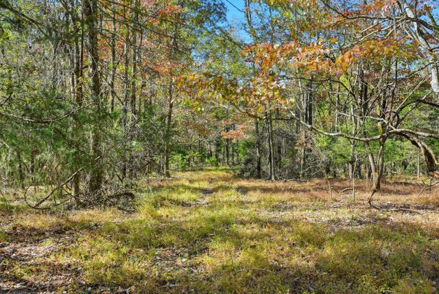 180 Tatum Rd, Pulaski, TN 38478