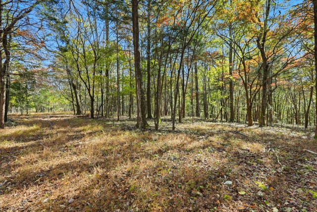 180 Tatum Rd, Pulaski, TN 38478