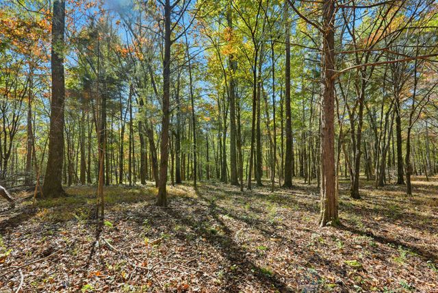 180 Tatum Rd, Pulaski, TN 38478