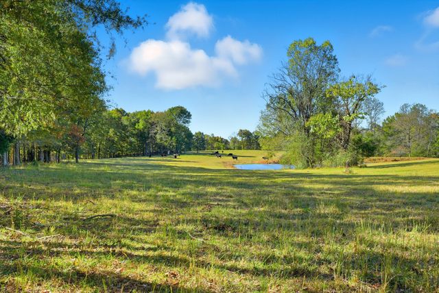 180 Tatum Rd, Pulaski, TN 38478