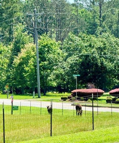 3201 Warren Creek Drive, Powder Springs, GA 30127