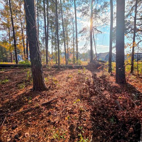 616 McCown Dr., Conway, SC 29526