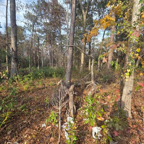 616 McCown Dr., Conway, SC 29526