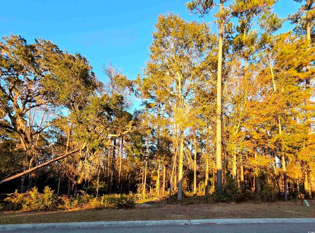 616 McCown Dr., Conway, SC 29526