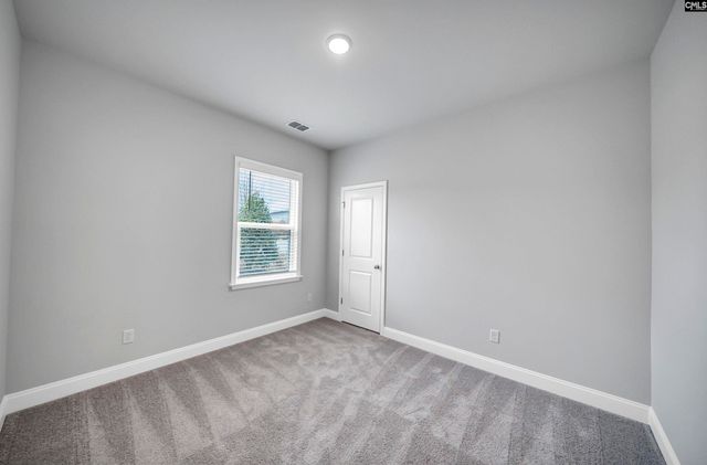 157 Monroe Preserve Lane, Chapin, SC 29036