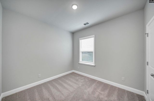 157 Monroe Preserve Lane, Chapin, SC 29036