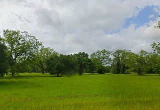 142 Horse Shoe Trail, Angleton, TX 77515