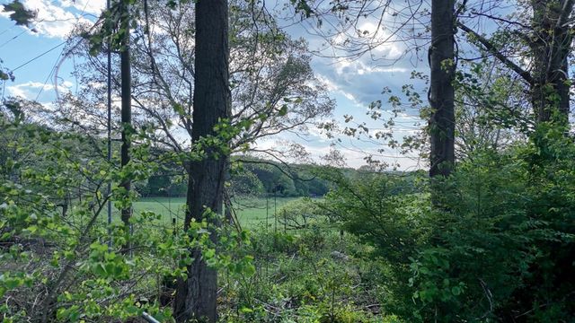 1013 Bradley Road, Blairsville, GA 30512