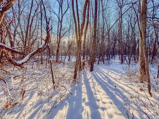 3045 Nelson Road, Independence, MN 55328