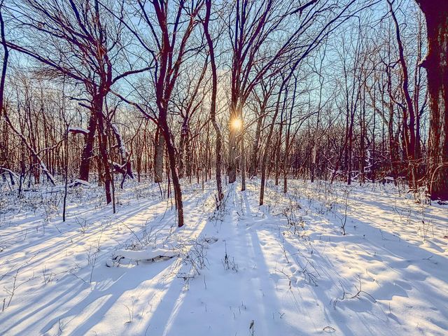 3045 Nelson Road, Independence, MN 55328