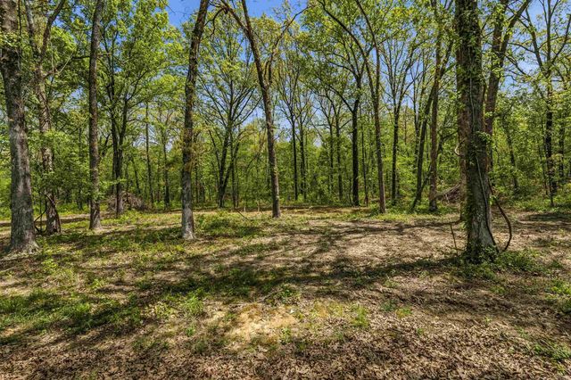 1165 Butlerville Road, Ward, AR 72176