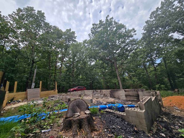 19 Willie May Drive, Highland, AR 72542