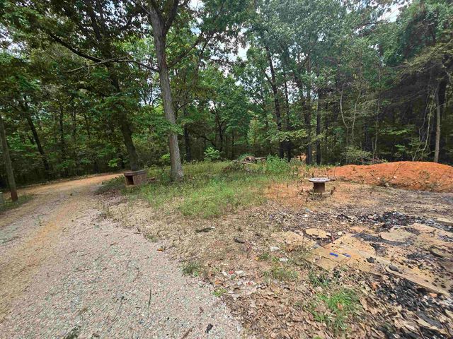 19 Willie May Drive, Highland, AR 72542