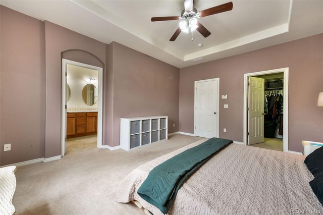 10816 Creede Creek Point, Colorado Springs, CO 80908
