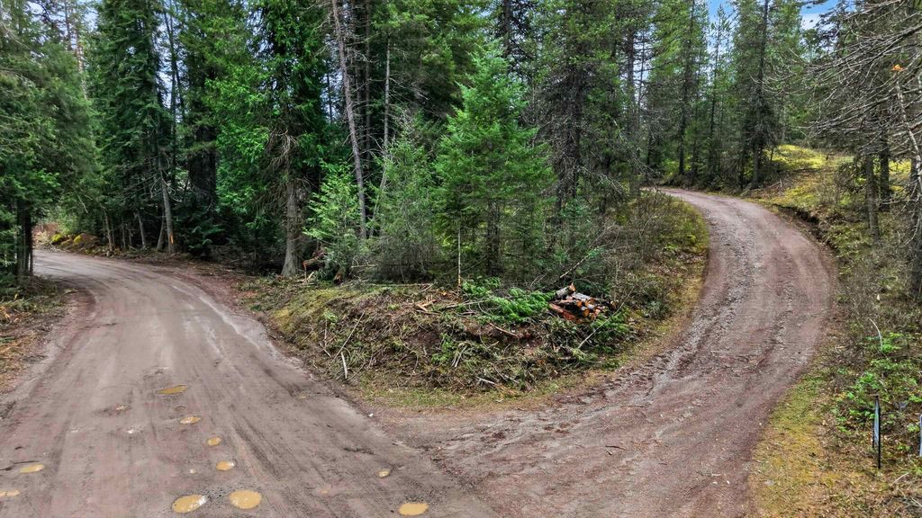 22 Elk Rd, Newport, WA 99156 photo 24