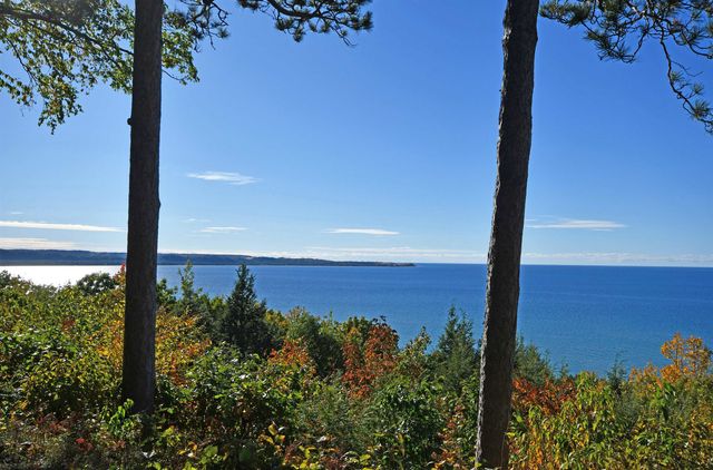 10 Vantage Pointe, Glen Arbor, MI 49630