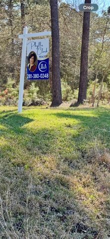 722 Carriage View Lane, Huffman, TX 77336