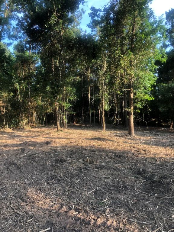 722 Carriage View Lane, Huffman, TX 77336