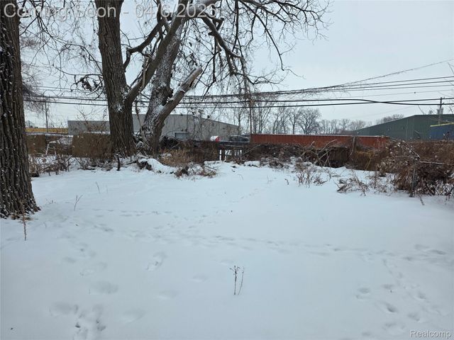 1139 S Bassett Street, Detroit, MI 48217