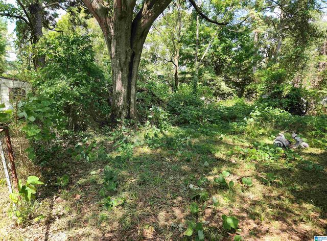 412 ORCHID ROAD, Birmingham, AL 35215