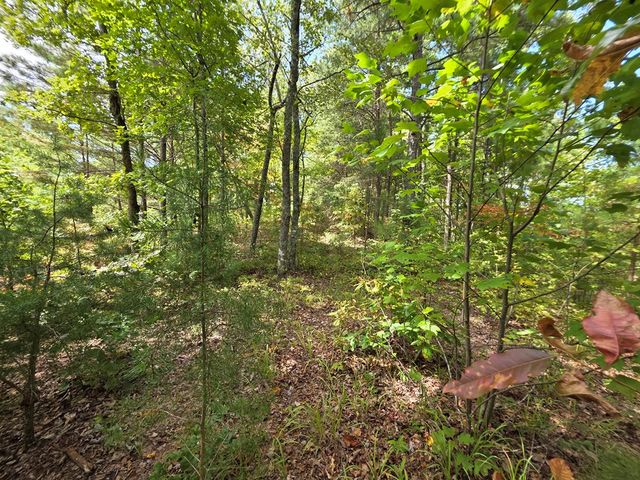 1077 Harris Creek Drive, Ellijay, GA 30540