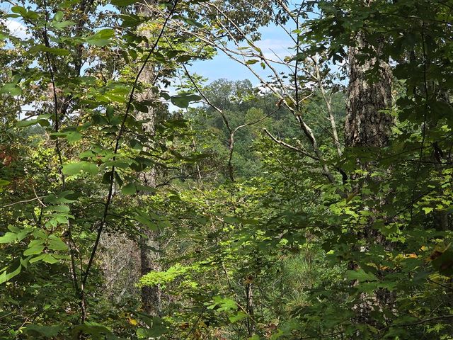 1077 Harris Creek Drive, Ellijay, GA 30540