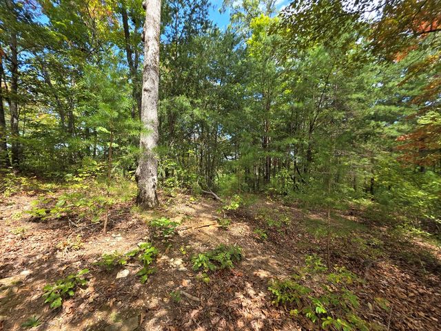 1077 Harris Creek Drive, Ellijay, GA 30540