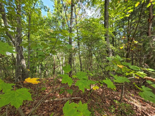 1077 Harris Creek Drive, Ellijay, GA 30540