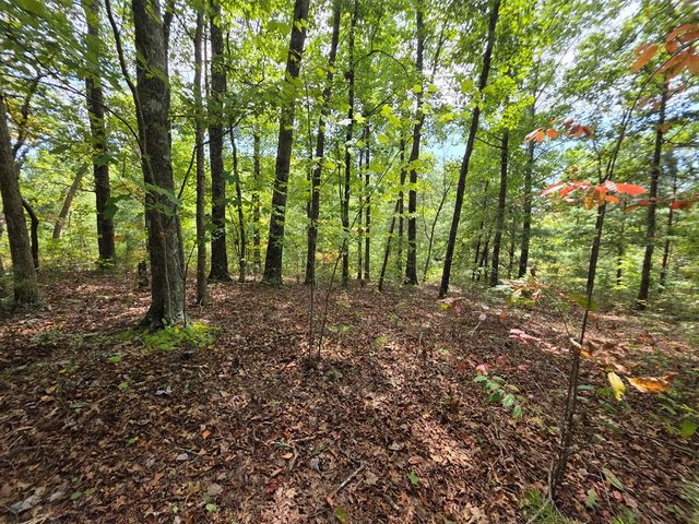 1077 Harris Creek Drive, Ellijay, GA 30540