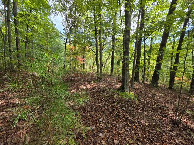 1077 Harris Creek Drive, Ellijay, GA 30540