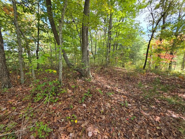 1077 Harris Creek Drive, Ellijay, GA 30540