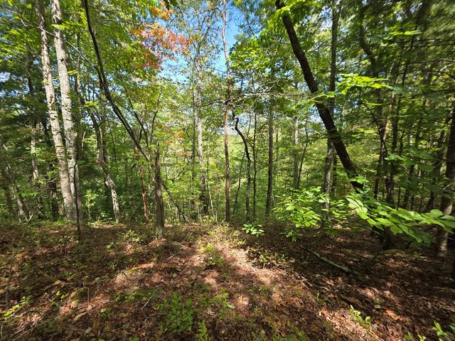 1077 Harris Creek Drive, Ellijay, GA 30540
