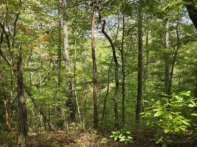 1077 Harris Creek Drive, Ellijay, GA 30540
