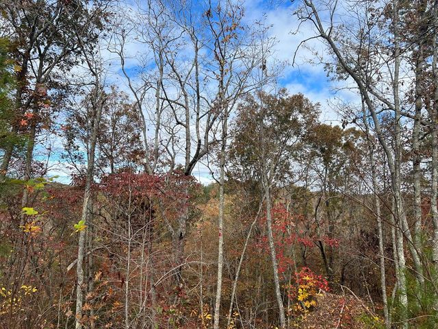 1077 Harris Creek Drive, Ellijay, GA 30540