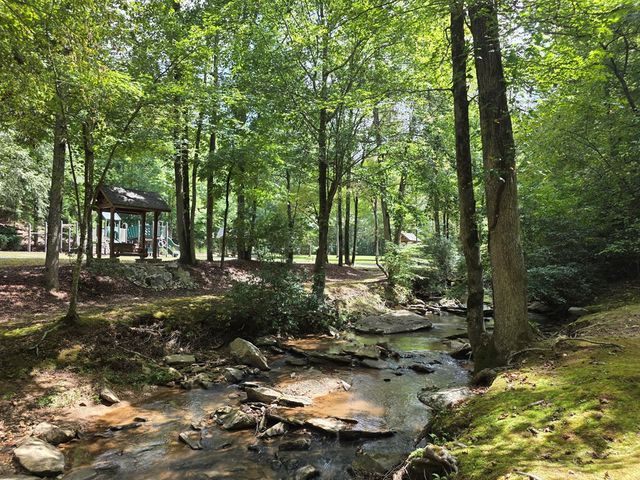 1077 Harris Creek Drive, Ellijay, GA 30540