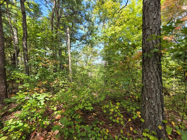 1077 Harris Creek Drive, Ellijay, GA 30540