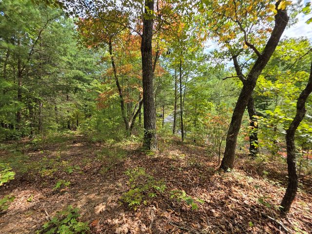 1077 Harris Creek Drive, Ellijay, GA 30540