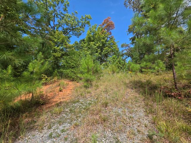 1077 Harris Creek Drive, Ellijay, GA 30540