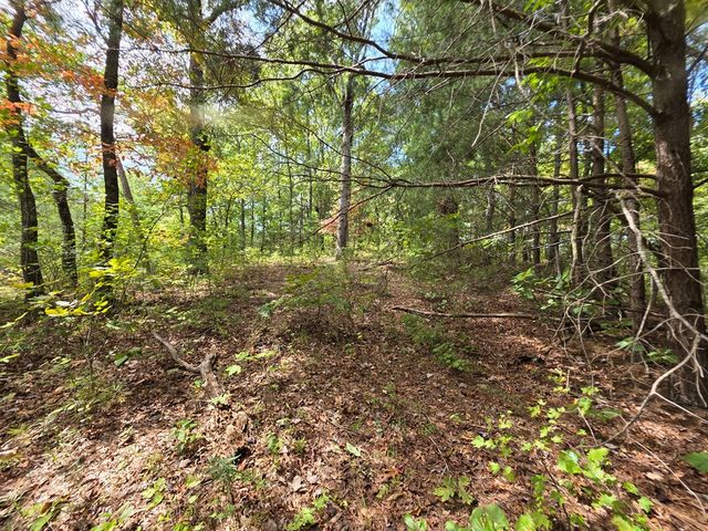 1077 Harris Creek Drive, Ellijay, GA 30540