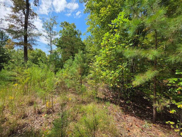 1077 Harris Creek Drive, Ellijay, GA 30540