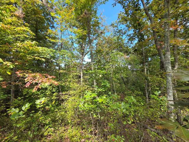 1077 Harris Creek Drive, Ellijay, GA 30540