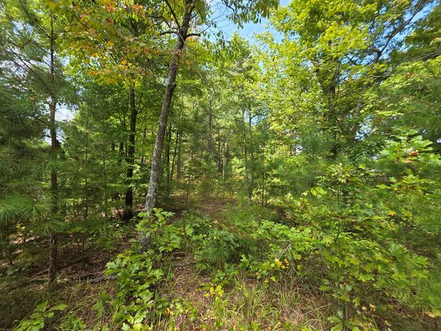 1077 Harris Creek Drive, Ellijay, GA 30540