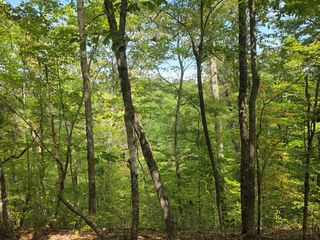 1077 Harris Creek Drive, Ellijay, GA 30540