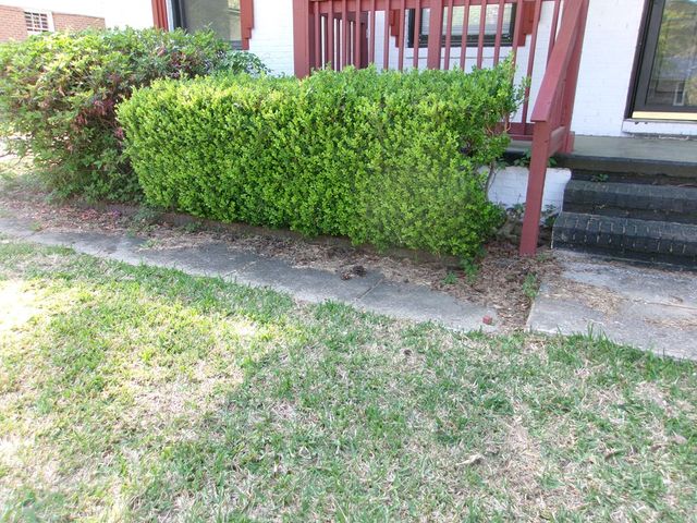 606 Mustang, Dothan, AL 36301